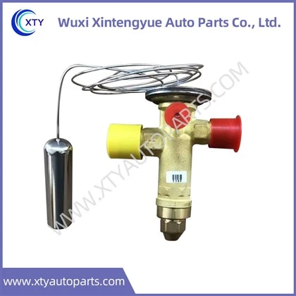 067N7018 Expansion Valve Rau Bus AC